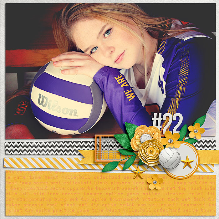 Volleyball
