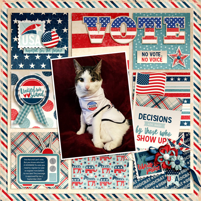 vote