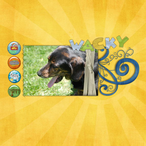 Wacky Silly Crazy Happy Puppy