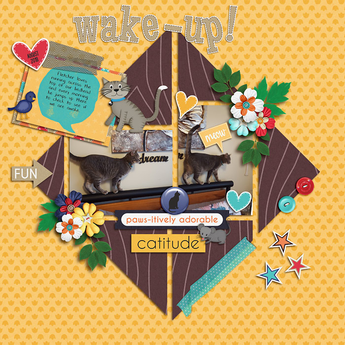 Wake Up!