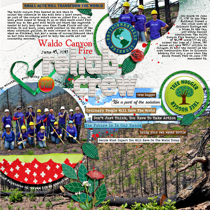 Waldo Canyon Fire Rehab Crew