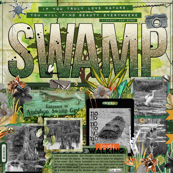 Walk through the Swamp