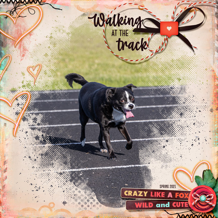Walking at the Track