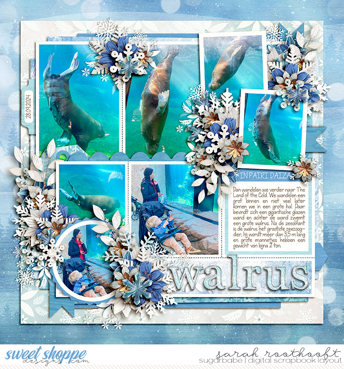Walrus