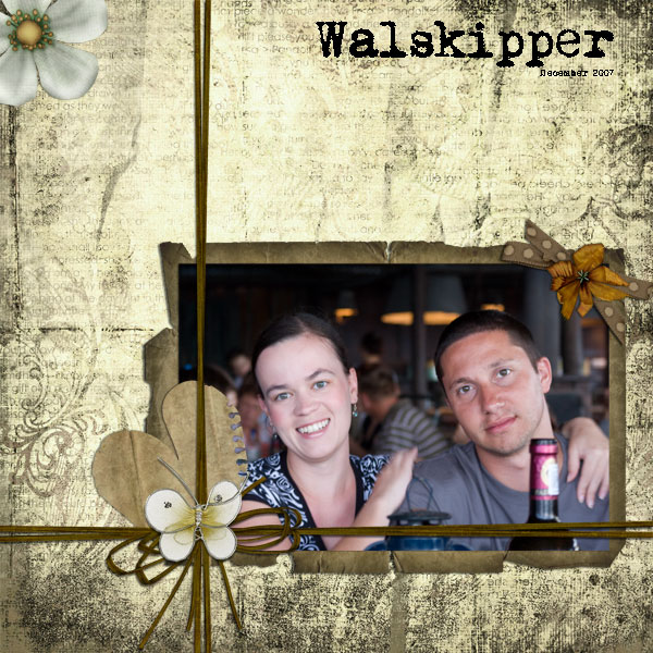Walskipper