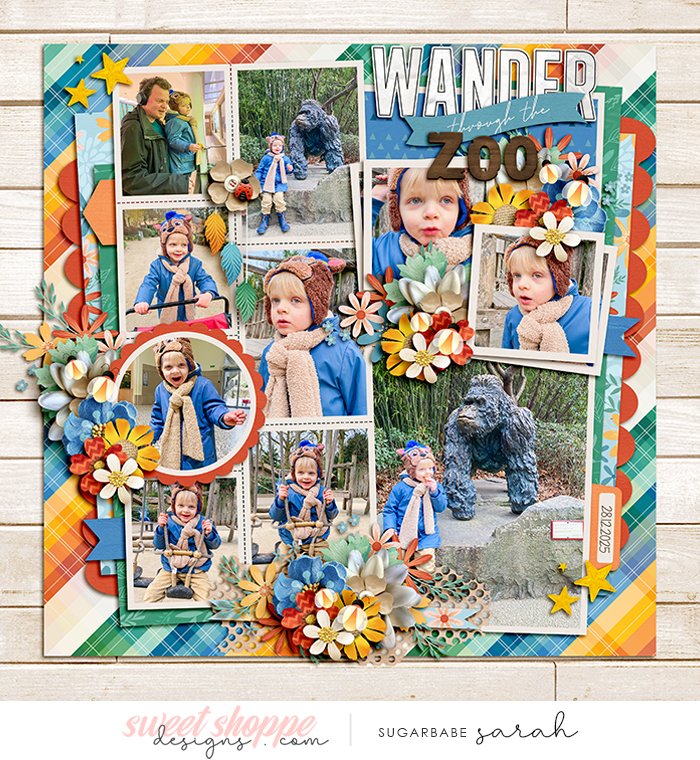 Wander Through The Zoo