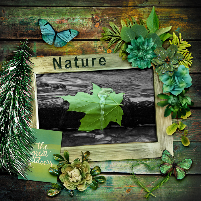Wandering Leaf