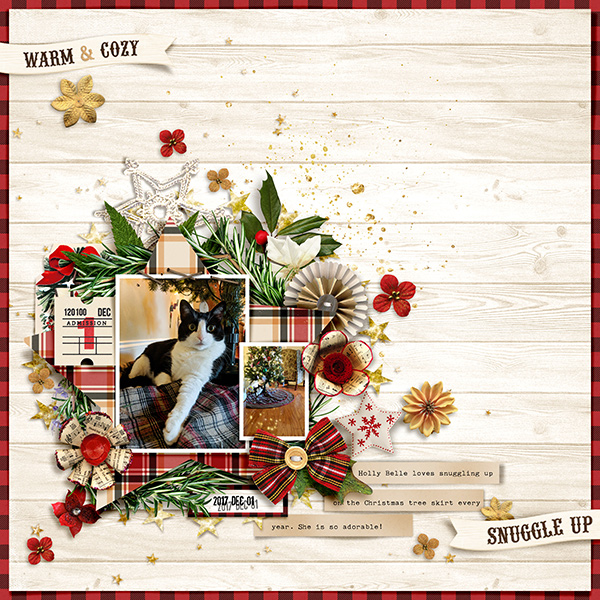 Warm & Cozy