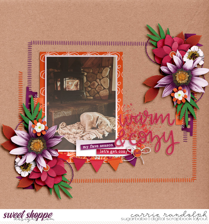 warm & cozy