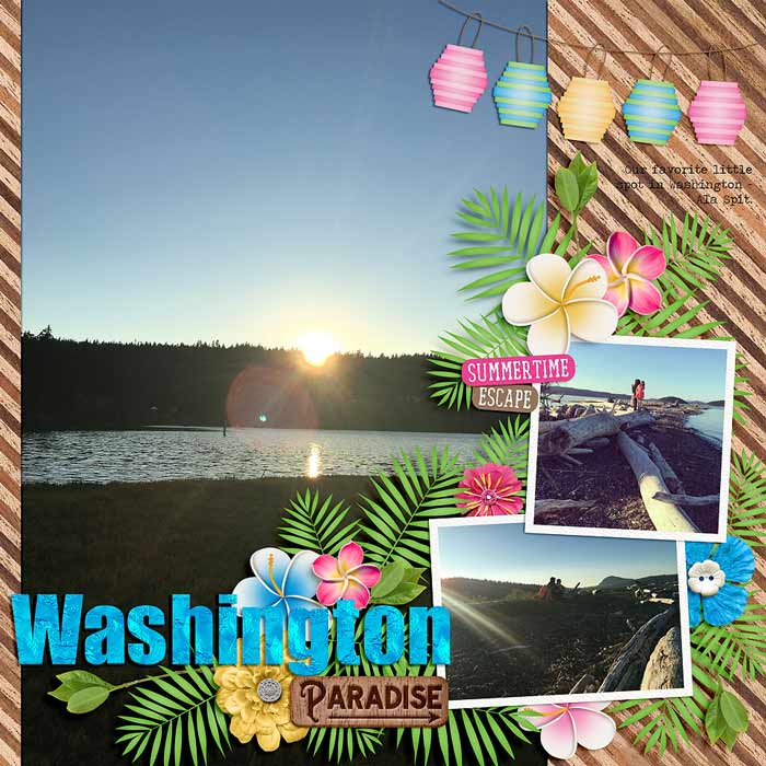 ~Washington Paradise~