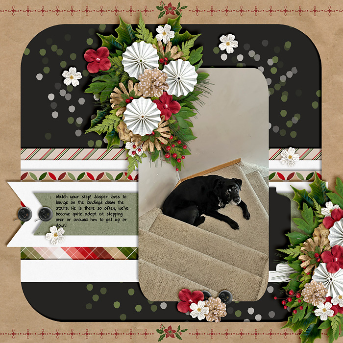 Watch Your Step