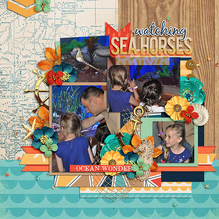 Watching Sea Horses