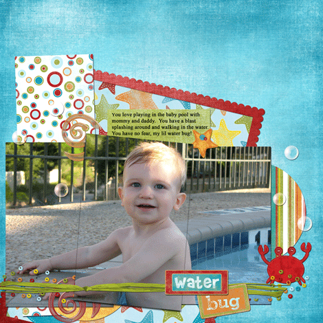 Water Bug