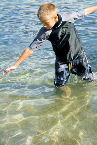 Water Bug