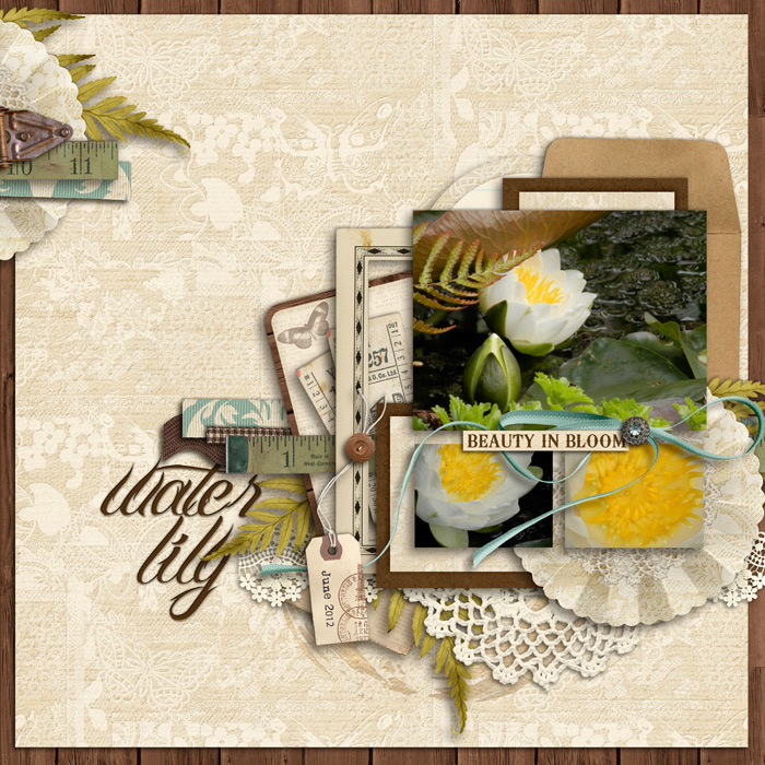 water lily
