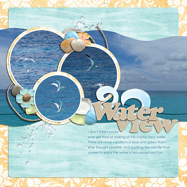 Water View