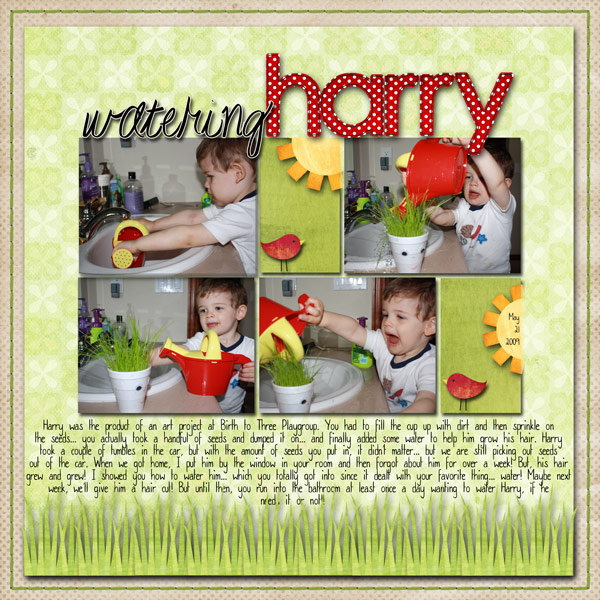 watering harry