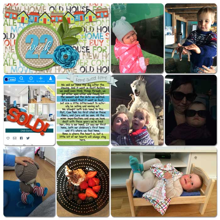 Week 22
