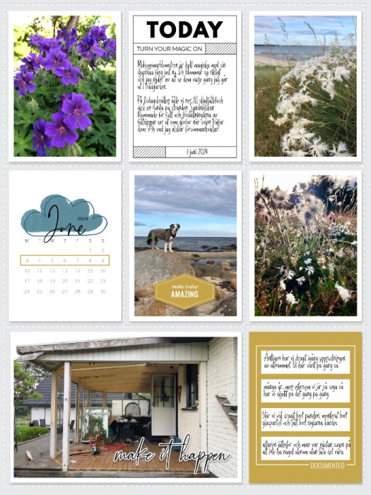Week 23a 2024