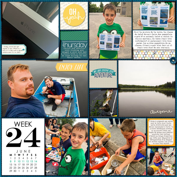 Week 24 2015