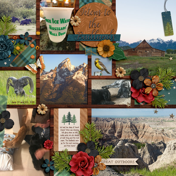 Week 25 part 2