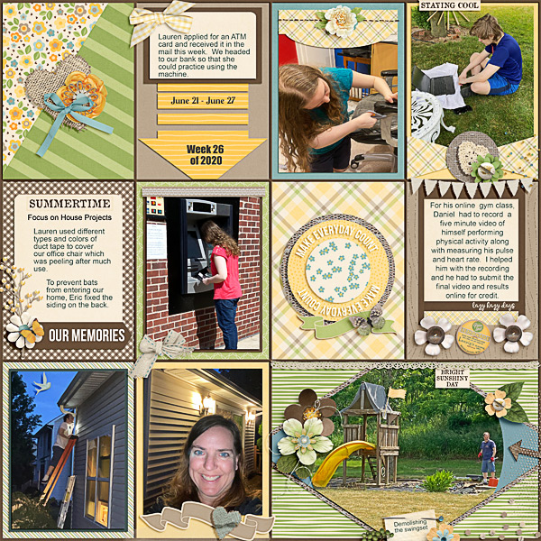 Week 26 of 2020 Focus on House Projects