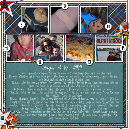 Week 33 P365
