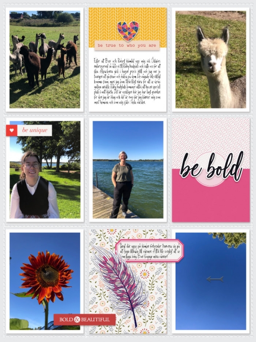 Week 37a 2024