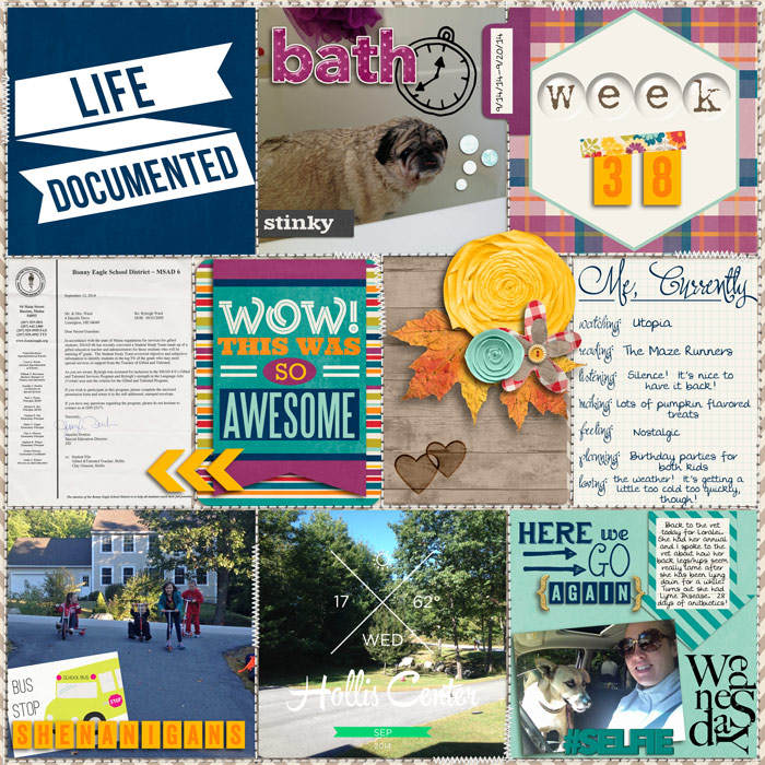 Week 38 Page 1