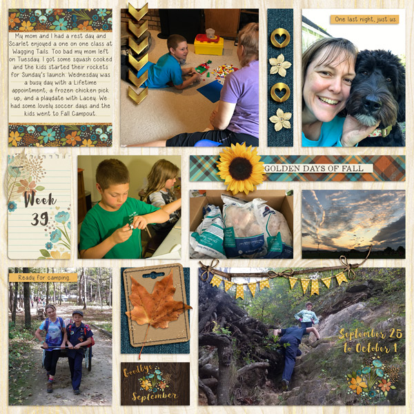 Week 39, 2017