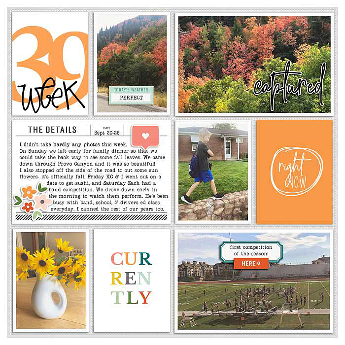 week 39