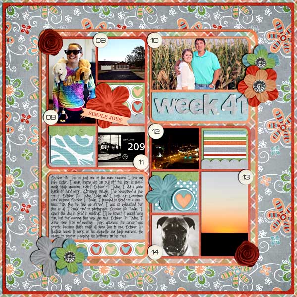 Week 41