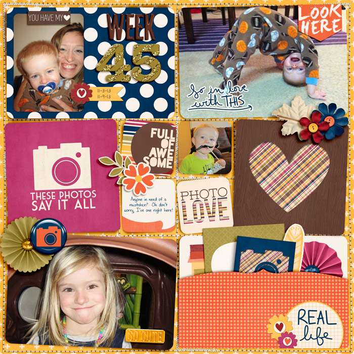 Week 45 2013