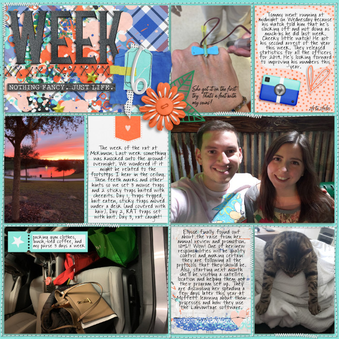 Week 6L 2020