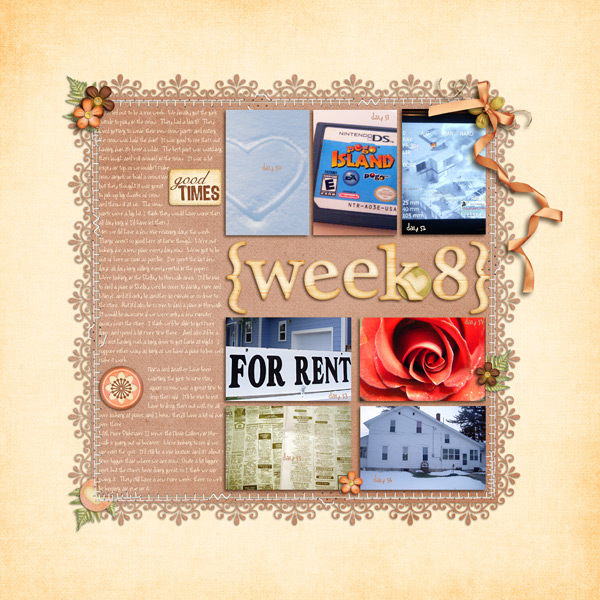 week 8