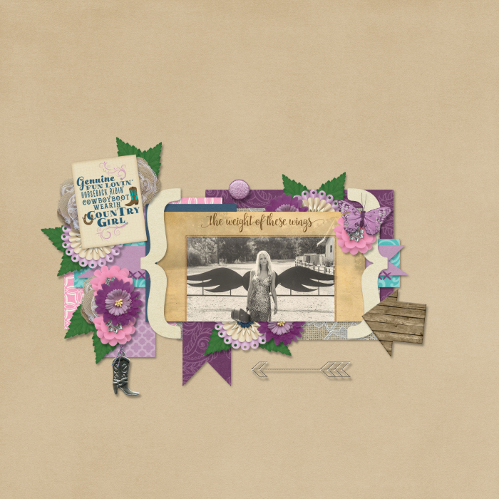 weight of these wings-miranda lambert