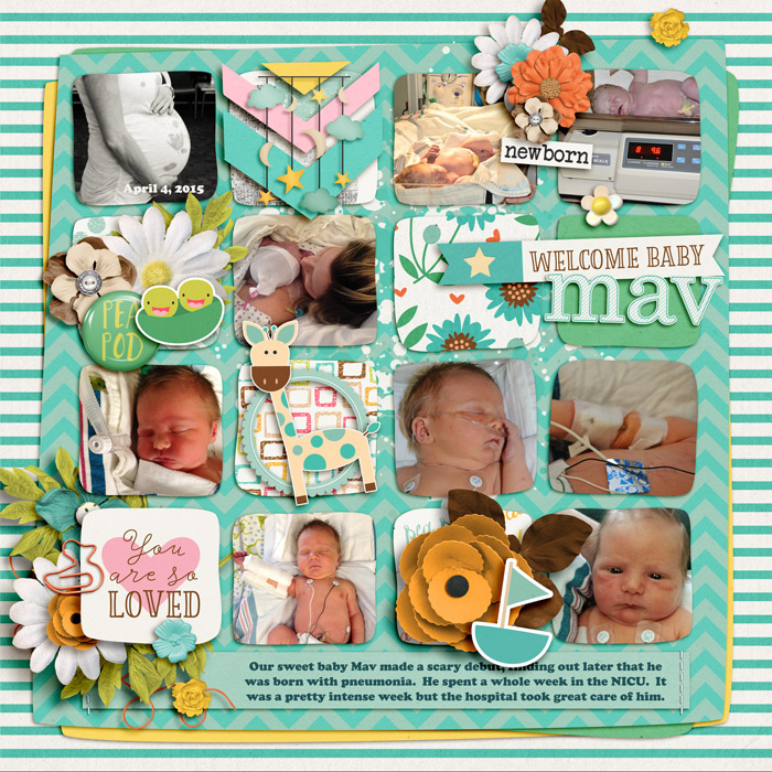 Welcome Baby Mav