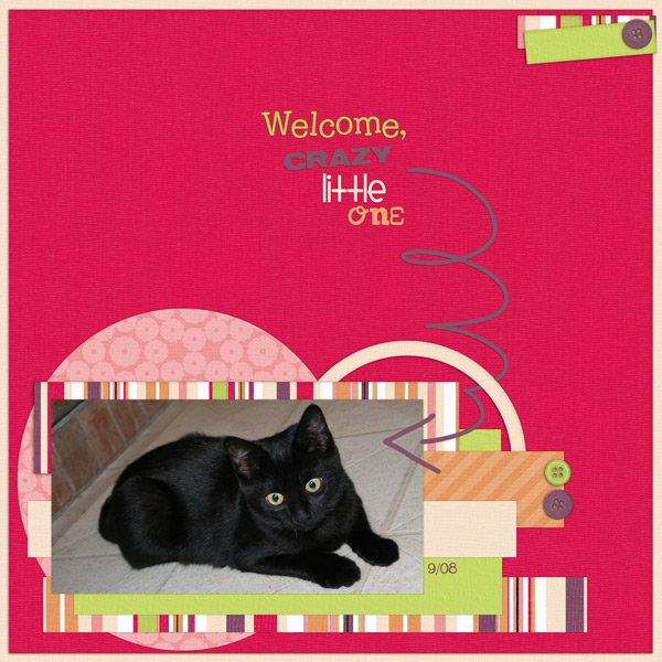 Welcome Crazy Little One
