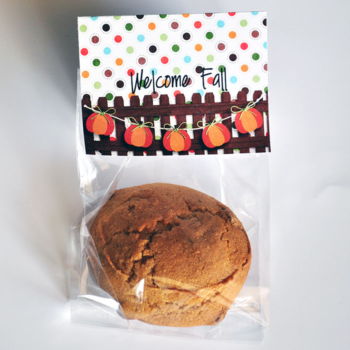 Welcome Fall Treats