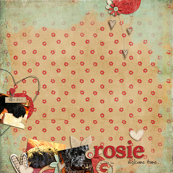 Welcome Home, Rosie