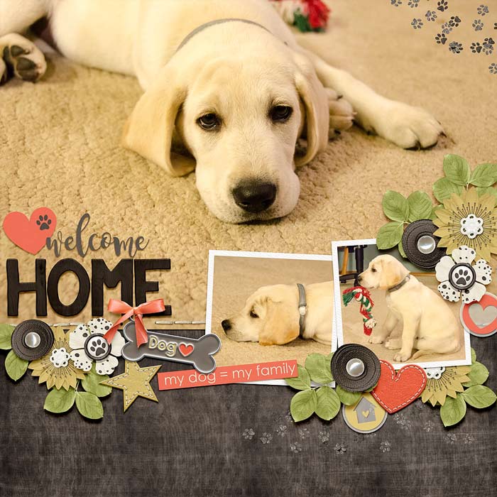 ~Welcome Home~