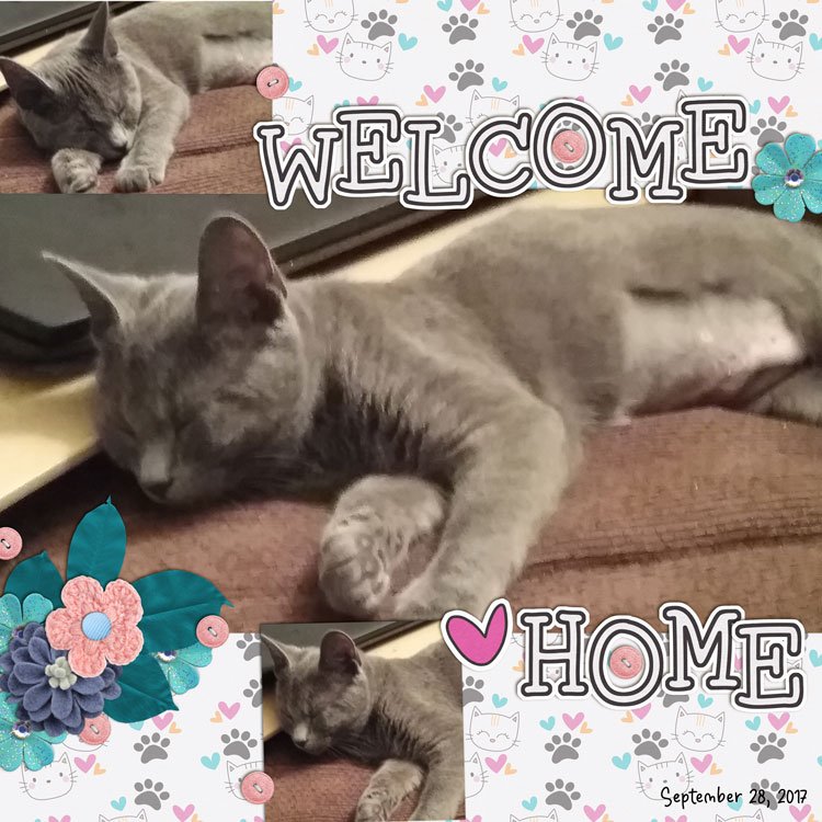 Welcome Home
