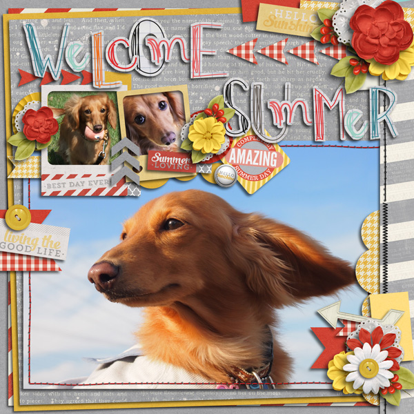 Welcome Summer