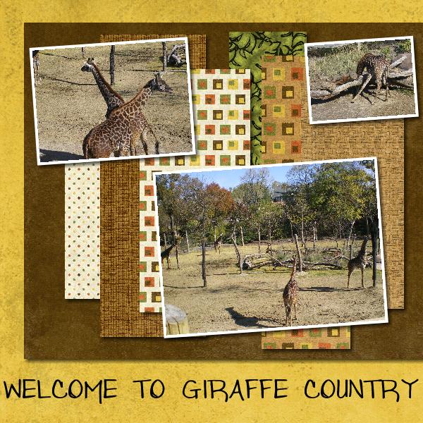 Welcome To Giraffe Country