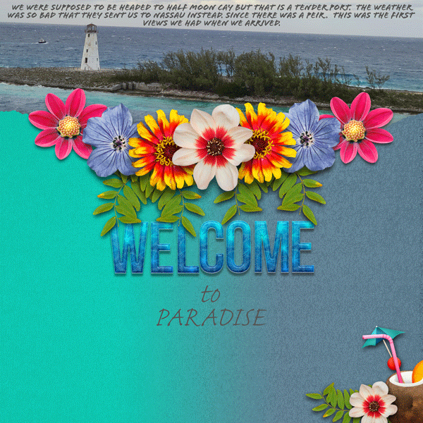 Welcome to Paradise