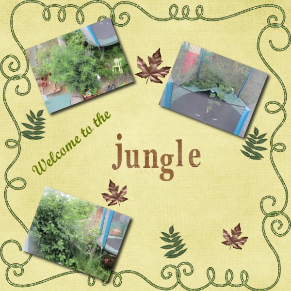 Welcome to the jungle