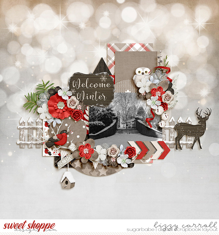 Welcome Winter