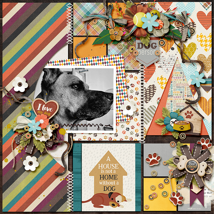 Wet Nose Warm Heart