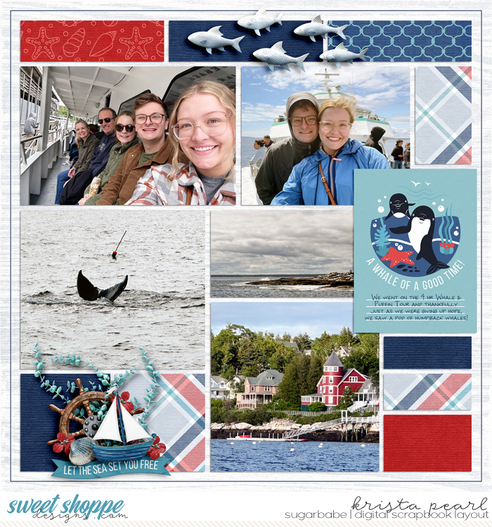 Whale Watching 2