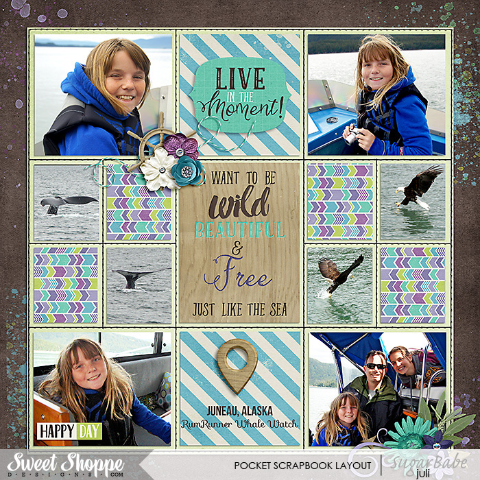 Whale Watching - Juneau